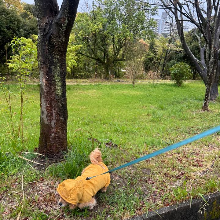 A06be4c6 69fc 4baf 8660 3591e55d3acf 1744500226459