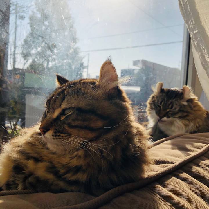 A06bf571 2255 4d59 b627 61e1a62e9a4f 1574473701506