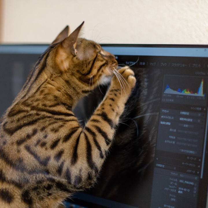 A06c1d9f 0adb 4282 9d9d af4d3a2eca3d 1518437938267