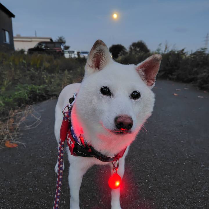 A06c2b70 8651 445e 8dc2 23a9f978c836 1731673261705