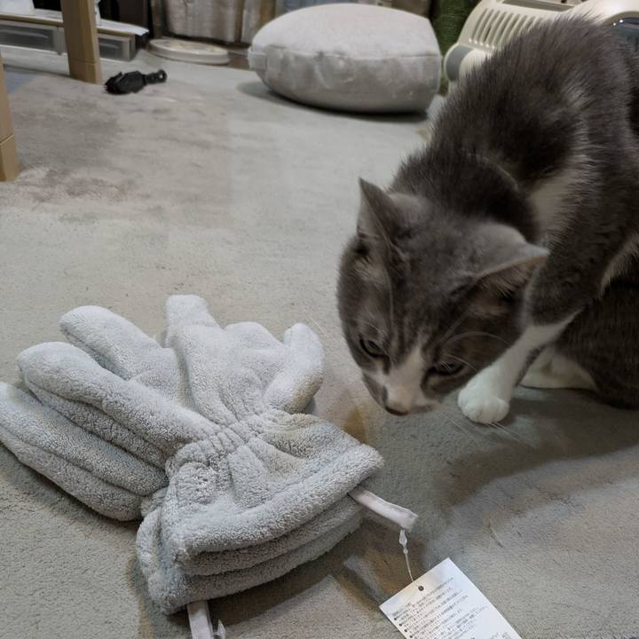 A06c4205 ab57 4268 b0e1 98da0334a965 1757067011449