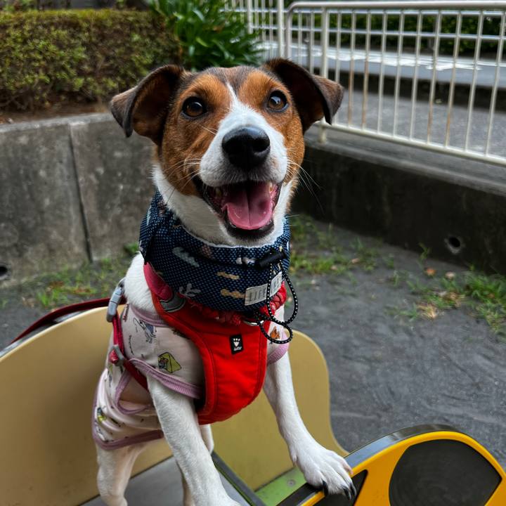 A06c55b6 6ab5 43fa a40f 856ad5064ae7 1752019659895