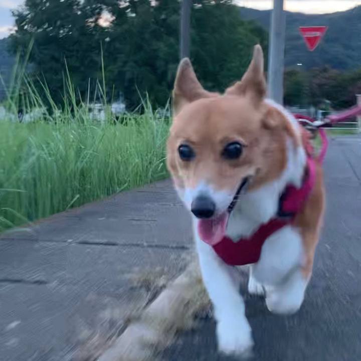 A06c7670 208f 4c77 a943 79a914f0f324 1694684076817