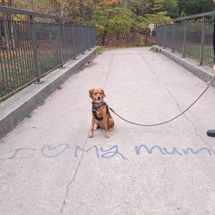 A06c7a33 27c0 4521 999d ad4c967b1426 1760307948152