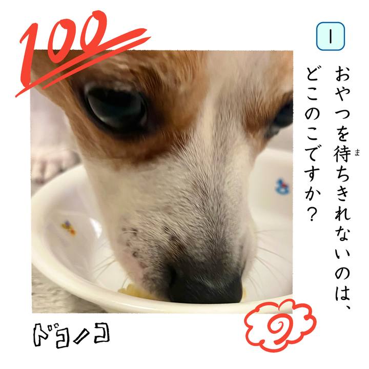 A06c90c6 57ce 44f5 b1e9 48adcfbb8c0c 1744516431436