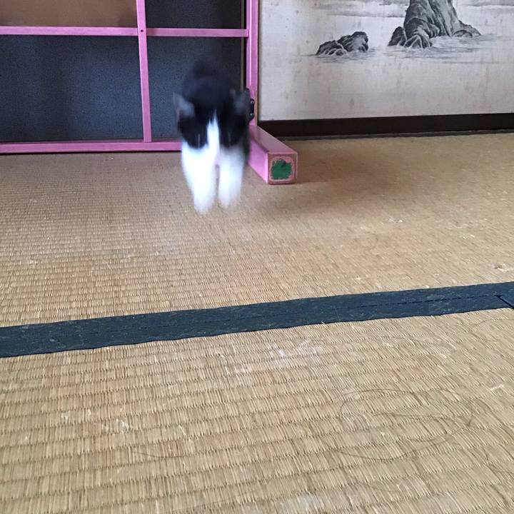 A06c936e bbbd 4603 9fe4 0e15b226b655 1624240523409