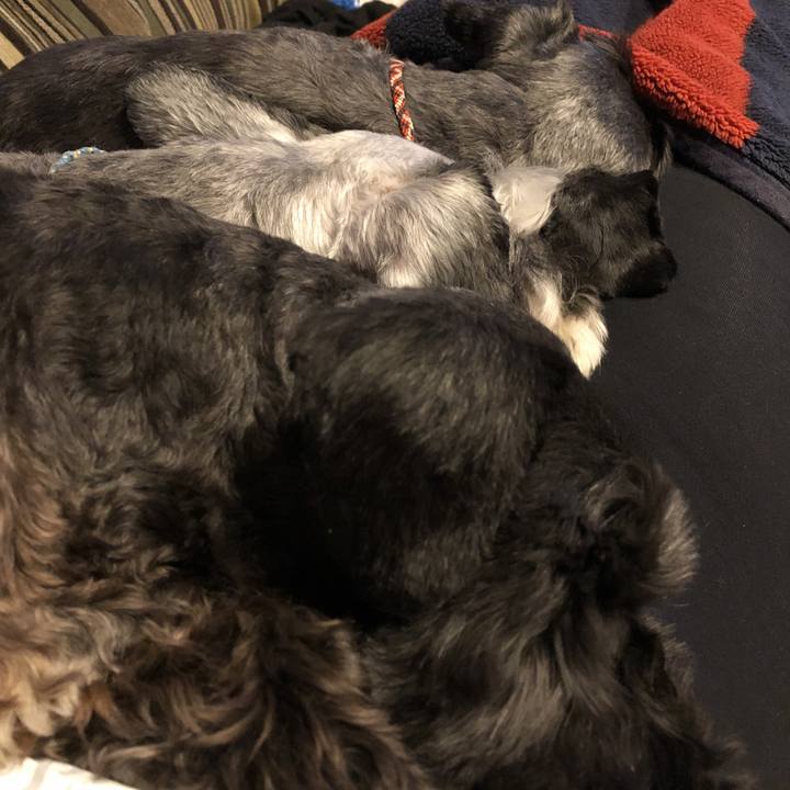 A06caf9b 8fea 4027 82ae d388ea4aaa62 1543411620832