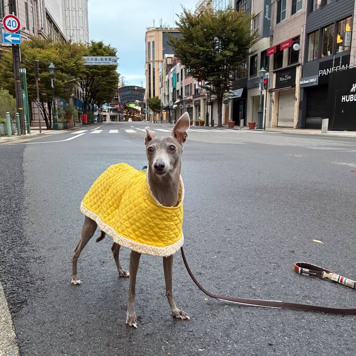 A06cf558 5334 4c83 a92e e62164c8f97e 1759653703471