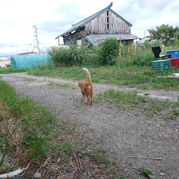 A06d27c4 b632 41c0 b343 2bc4bb0d5d11 1599298485245