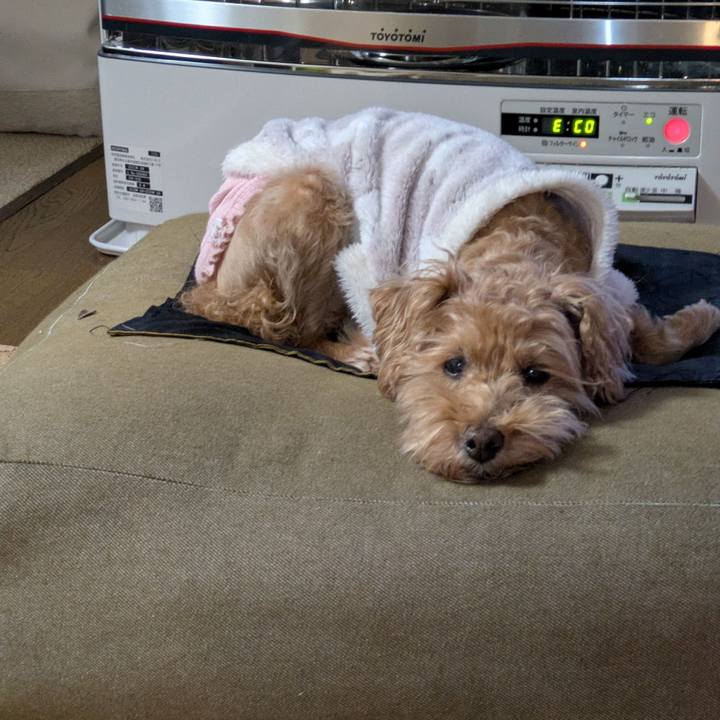 A06dcb99 8a39 41ec 9313 a7473351875d 1766786286860