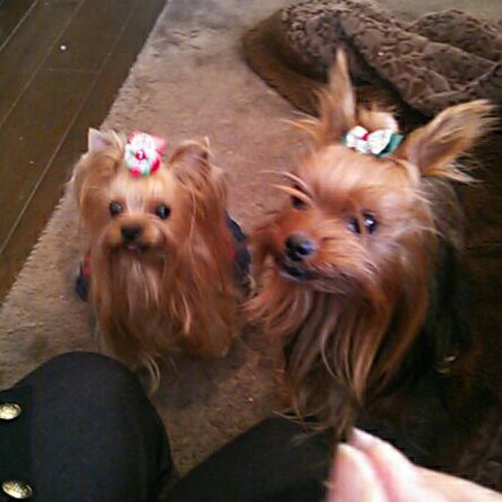 A06dea37 b65f 4f9d bd00 800177a9a61d 1538046437743