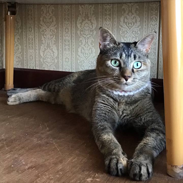 A06e1ebc 8dd4 48e2 9071 d74be44391c0 1658742948582