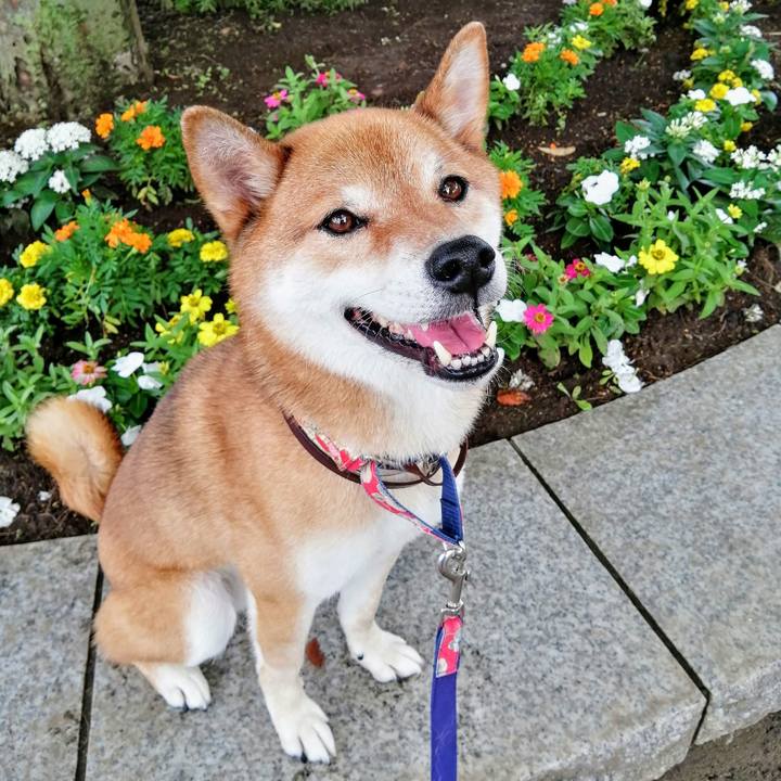 A06e2081 2df0 483d b999 143251f667ce 1595809194723