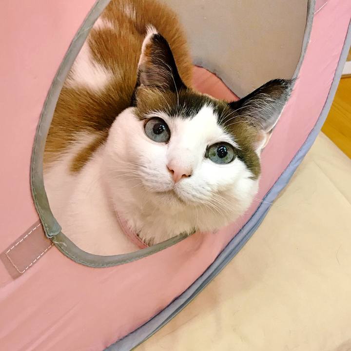 A06e5342 ff2b 44fe ba33 4d232f7771b6 1520946674971