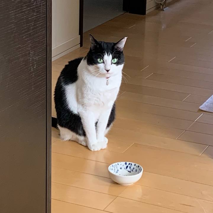 A06e5796 fb34 4c13 8d2c 446b43456b53 1769828249500