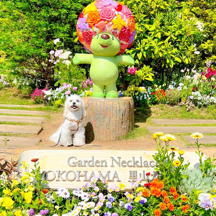 A06e6815 7d0b 4da5 b231 0f11f9bacb89 1682406114835