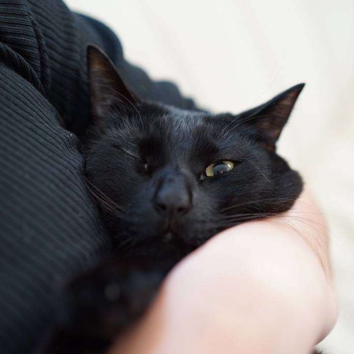 A06e69d9 5df6 4480 b264 e1779df9b07a 1553646394670