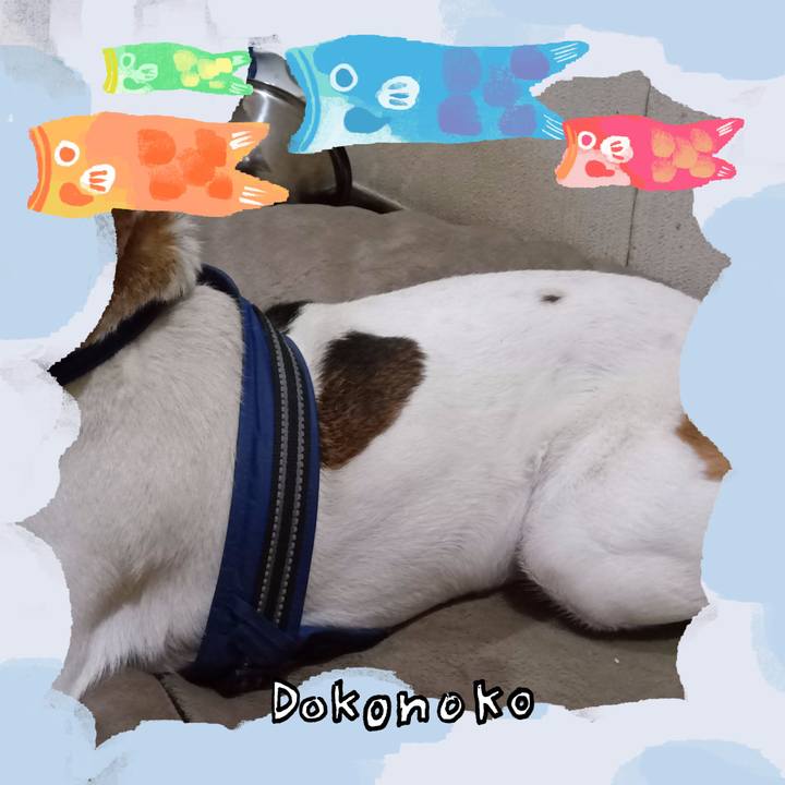 A06e6d3f 7187 49fa a4c0 e67d0a2bbb21 1749127129424