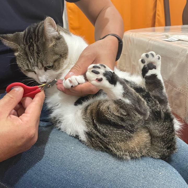 A06e8881 4c3d 4173 9d3c 75fa3f46c818 1703166226959