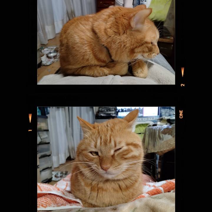 A06e9fd0 14cc 4906 9961 a183a5648291 1737963397438