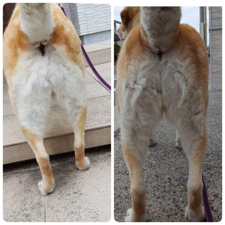 A06ec15b d9f1 4d2c a19a 2e3d275cfc72 1528530688814