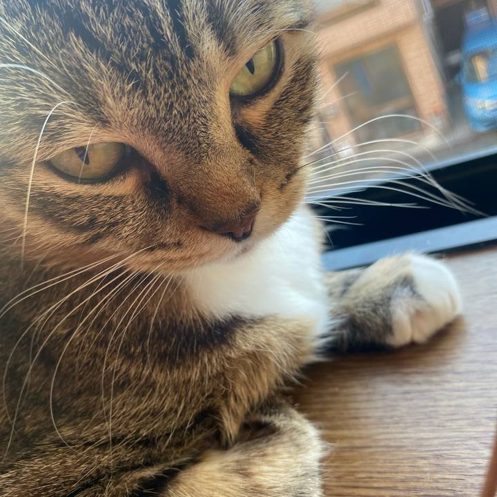 A06ec7f3 68c0 4d6a a977 02c61aeddadd 1635401004335