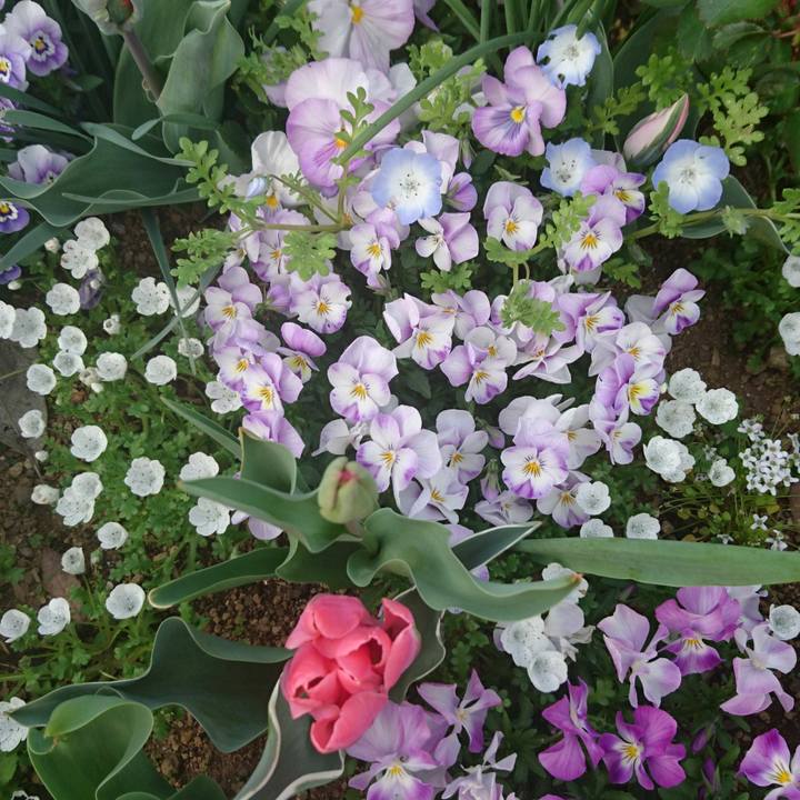 A06eed50 9ef7 450f 99de 13ffe3065aa2 1522533605260