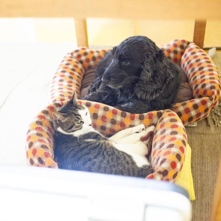 A06f0d4f cf5c 433c a97d 92bc3299b4c2 1556161289911