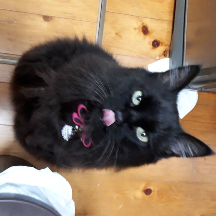 A06f4e8c 69b1 4b76 8cad 7099cb950713 1518775645887