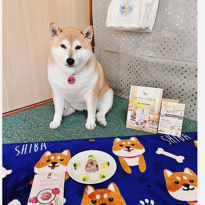 A06f9109 1123 49f3 a125 521fcf7f7ab5 1684290358390