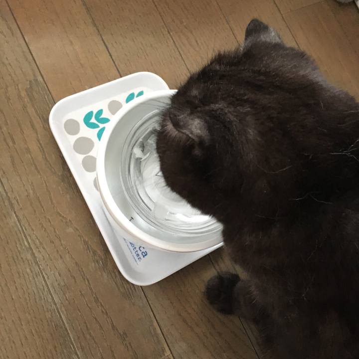 A06fa761 1c8a 43c4 8035 aa38f8cacb5f 1587950446393