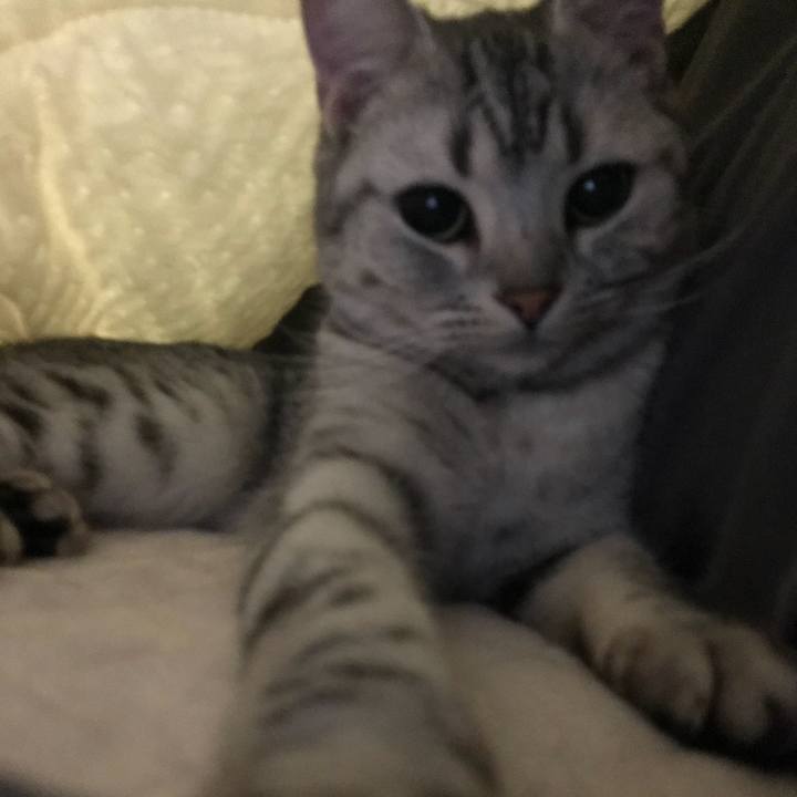 A06fab04 ed0c 4f01 af7f b902b6a06462 1516628807480