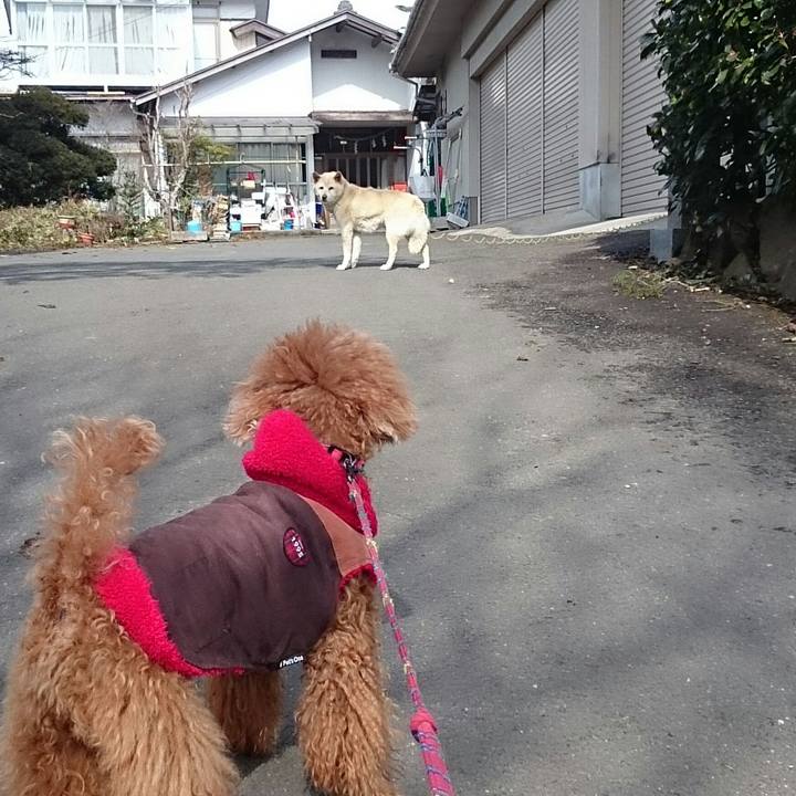 A06faf88 ebf6 4f70 a394 20627cdfe1c1 1519957692794