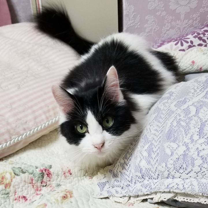 A06fc4b4 75d0 4cf1 9a00 2dd7e4f0b266 1562937680404