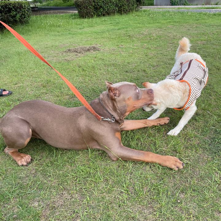 A06fe6bb 9c03 4e04 bb41 fef3c31d31c3 1656505886071