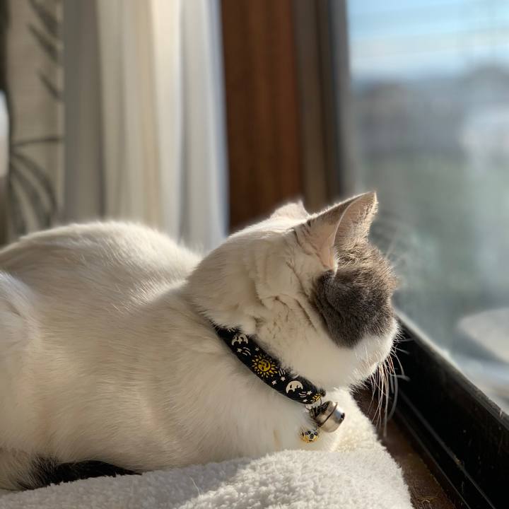 A06fee55 e5f8 4905 b263 0aac3ef03d5e 1738753094107