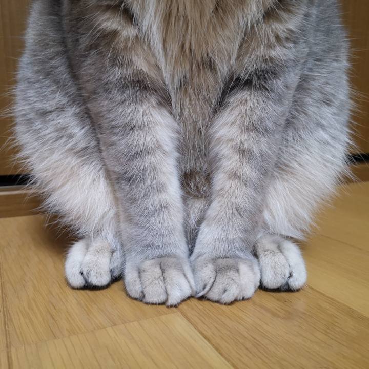 A0702fb5 402f 41c1 824c 6c9475a8d0fa 1565880526102