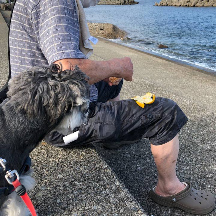 A0703c30 64fb 4039 b87d 730b5514f501 1633142322807