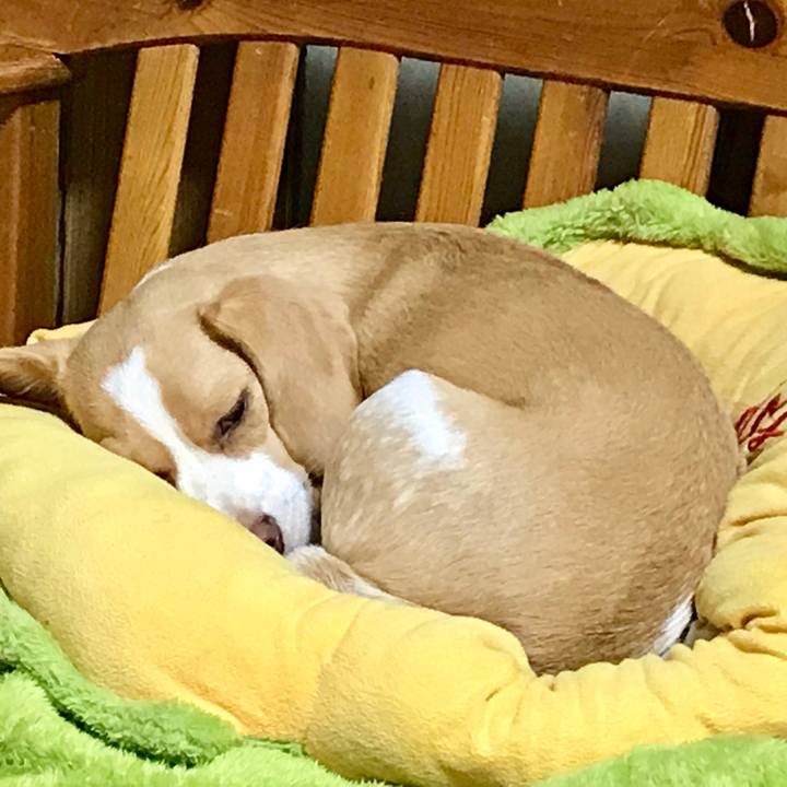 A0704634 2c70 41af a180 5733c32ebd83 1537849985695