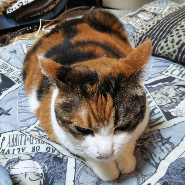 A070b937 a614 4b13 8a07 44b204457b0b 1526593364867