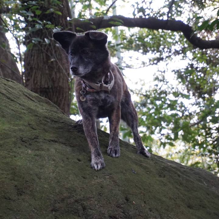 A070cb98 871d 4822 8bcd ed22ad745abc 1553177877490