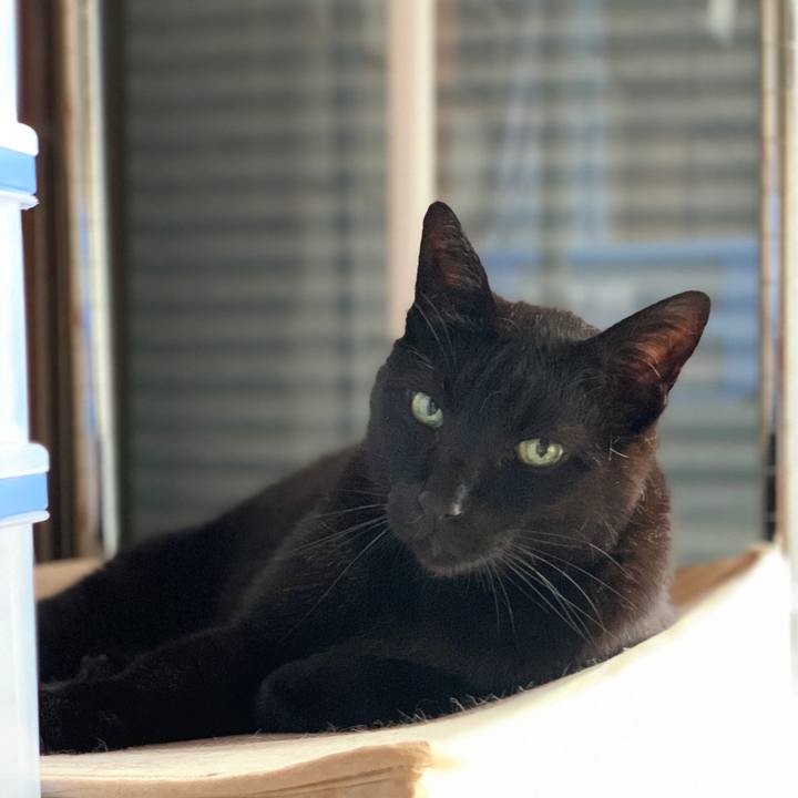 A070edfd 75bd 4a38 b59e 728b27e6771c 1591493422213