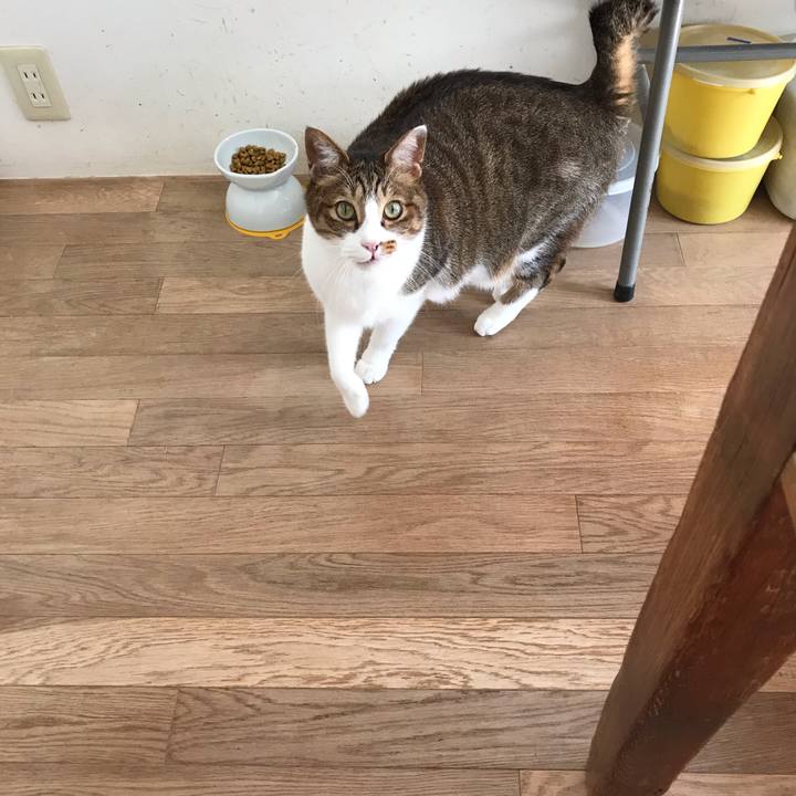 A07152dc 7dff 48ed b75f 37269c058e90 1549080757690