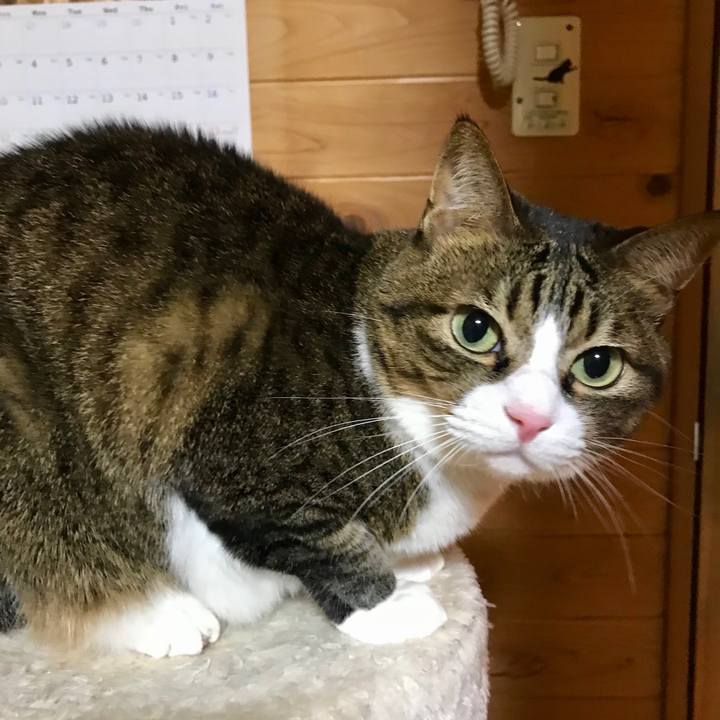 A0715446 fab7 4b10 bd7a 3ee72ce07d63 1512478111613