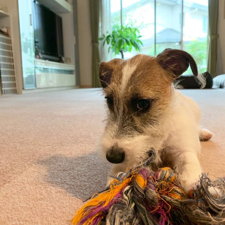 A07197d0 0436 4b40 abbf 2216140f4405 1564042788061