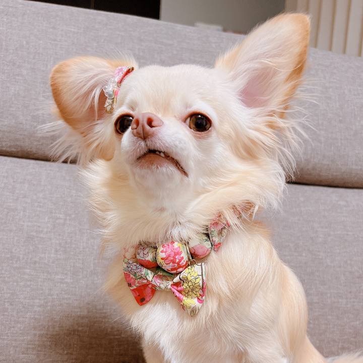 A071a884 31cf 47e7 b413 bca286ee9ca0 1665144520369