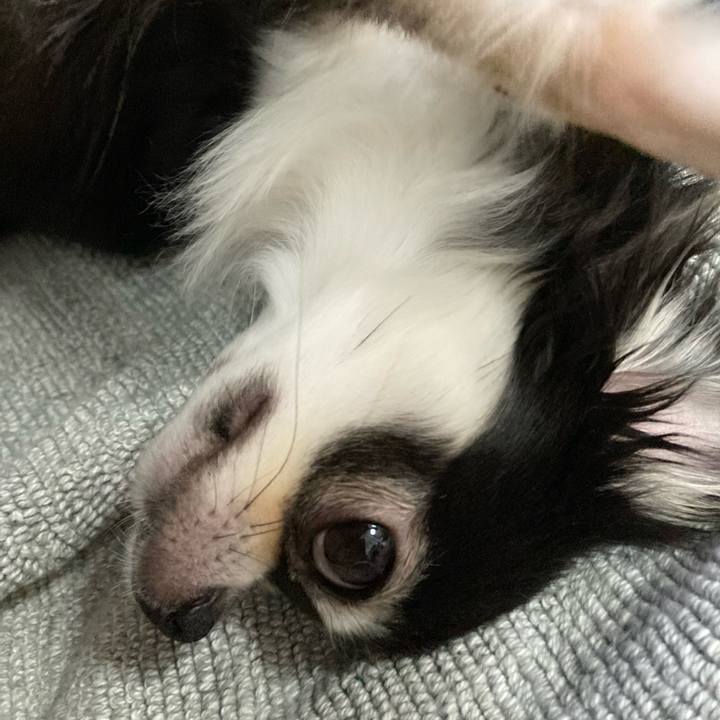 A071bc54 c2a9 453b 8c36 4487ea6b5282 1660658064790