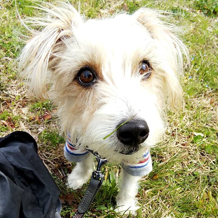 A0721229 aa89 41d7 aa5e 2d5ac356b83b 1553321562777