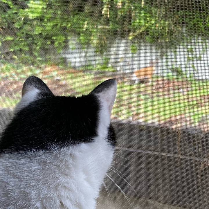 A072481f b970 42e4 84c7 5307eb5c452e 1589071720531