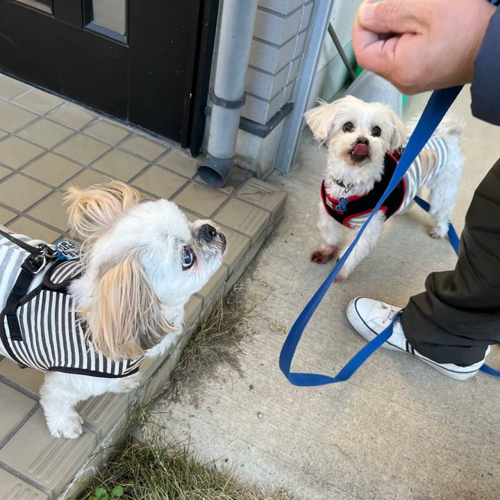 A072aae0 3f4a 48b9 a6f8 d9e2aad65e1a 1671778662775